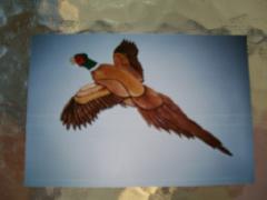 Sunday July 29, 2007 18:58 - ACCIDENT ON MAIN ST. 037.jpg